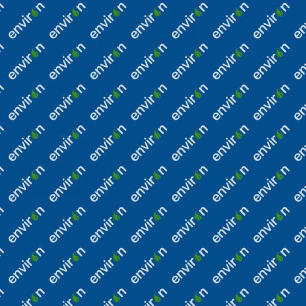 Stream custom model